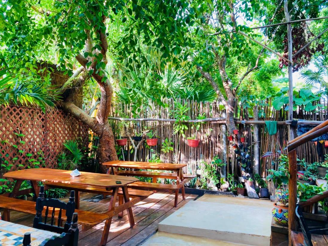 Hostal Holbox Exterior foto